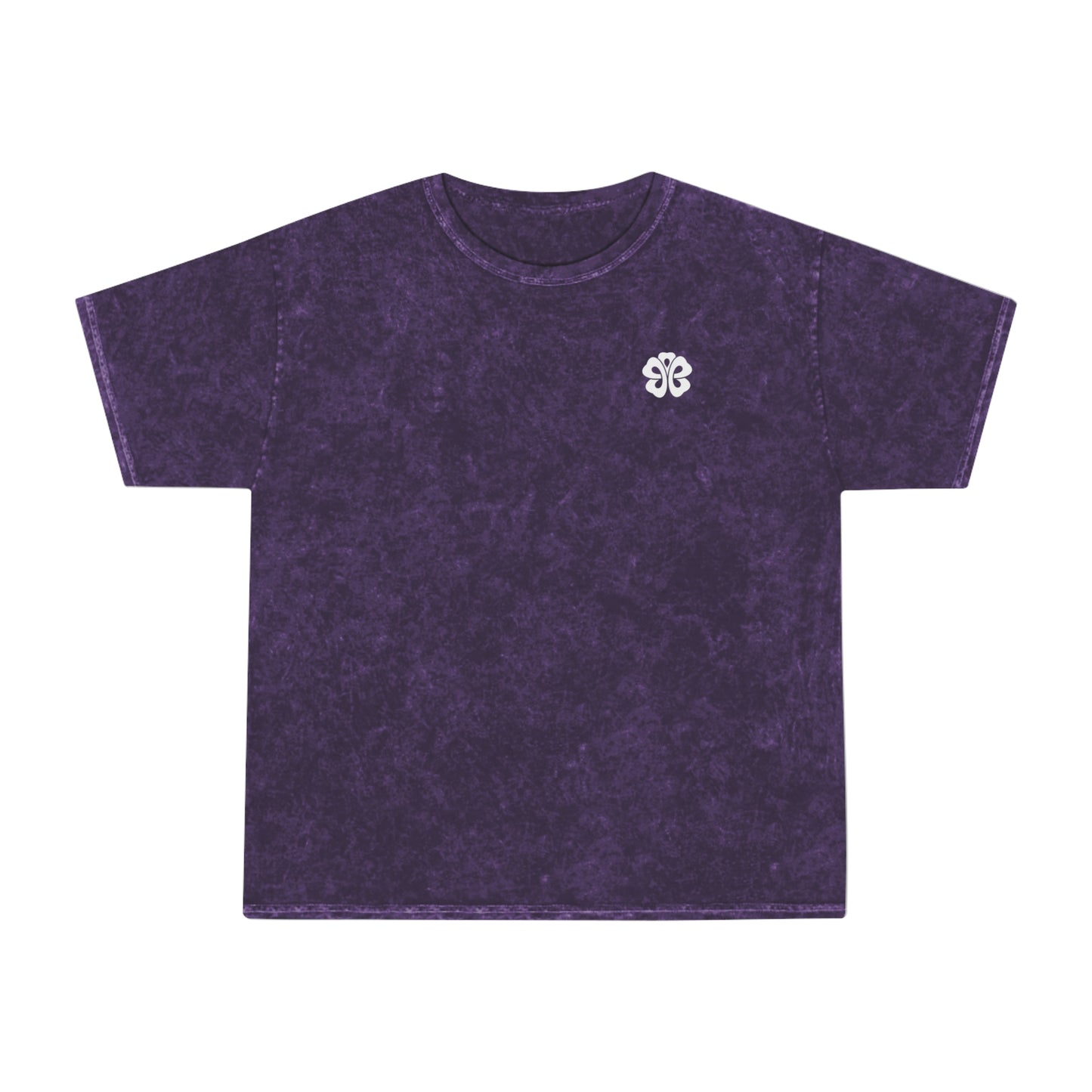 Mineral Wash Bible Verse Tee