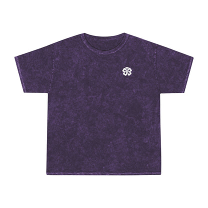 Mineral Wash Bible Verse Tee